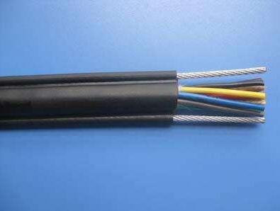 電動葫蘆專用手柄控制電纜RVV2G RVV1G TVR