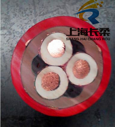 斗輪機卷盤電纜